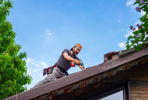 Best Roof Ventilation Installation  in Dove Valley, CO
