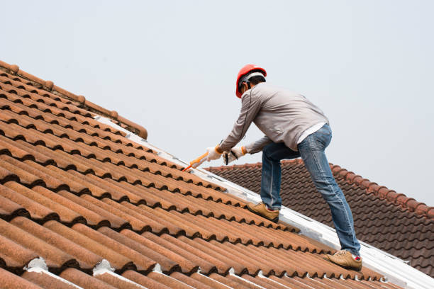 Best Solar Panel Roofing Installation  in Dove Valley, CO