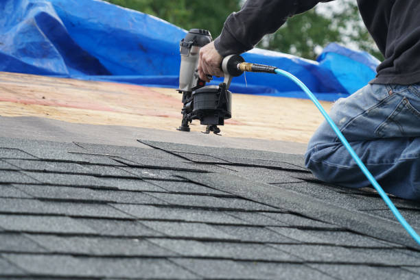 Best Roof Coating and Sealing  in Dove Valley, CO